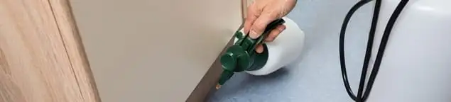 Bed bug exterminator treating baseboards and cracks with targeted spray in Hialeah, FL