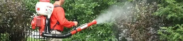 Mosquito control technician fogging shrubs and landscaping for mosquito treatment in Hialeah, FL