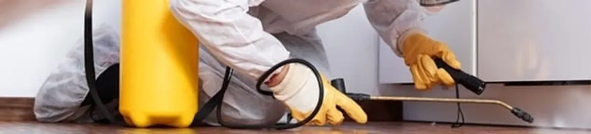Roach exterminator treating cracks and crevices along kitchen baseboards in Hialeah, FL