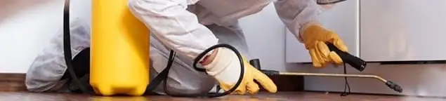 Roach exterminator treating cracks and crevices along kitchen baseboards in Hialeah, FL