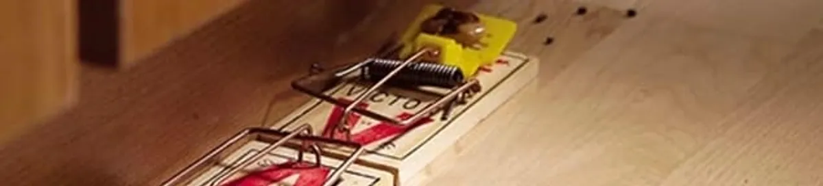 Rodent trap set indoors for rodent control and prevention in Hialeah, FL